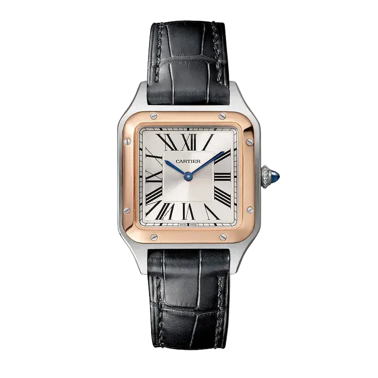 Cartier Santos Dumont Leather Strap